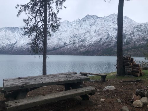 Dec2025-fishreport-11