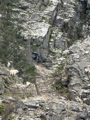 Dec2025-fishreport-3