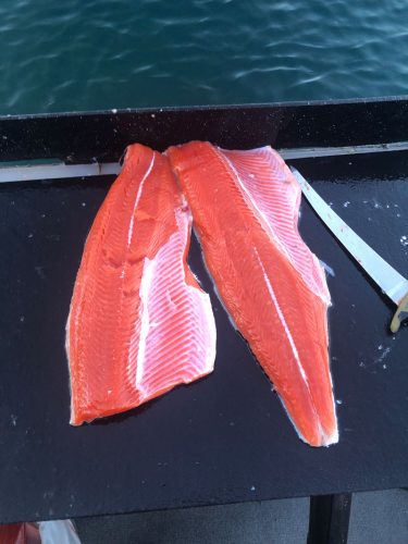 Dec2025-fishreport-6