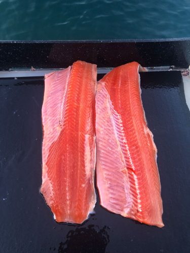 Dec2025-fishreport-7