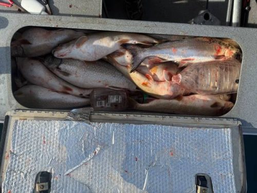 February-2026-Fishing-Report