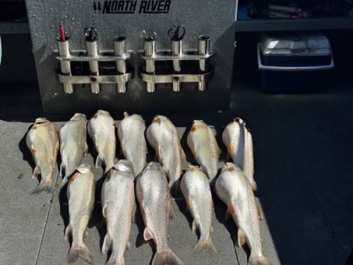 MarchApril2026FishingReport16