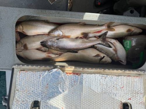 MarchApril2026FishingReport4 (1)